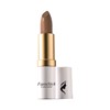 CORRECTEUR FANTASTICK FCO006 1