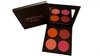 PALETTE BLUSHER OBL001 2