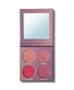 PALETTE BLUSHER  1