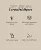 RECHARGE DIFFUSEUR PARFUM LINGE FRAIS 3