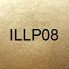 POUDRE ILLUMINATRICE VISAGE IPO004 2