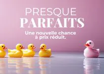                               LES PRESQUE PARFAITS